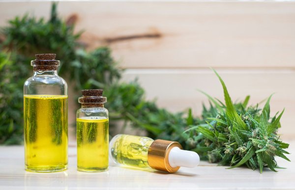 Découvrez les bienfaits du chanvre au quotidien pour votre bien-être