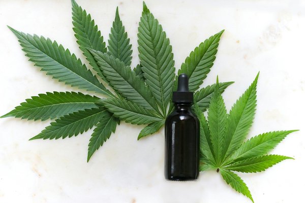 Thc chanvre légalité : risques de tests positifs au thc
