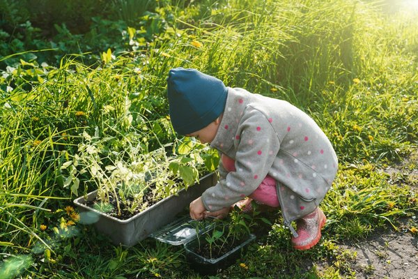 Vente de produits bio à domicile : une tendance à suivre